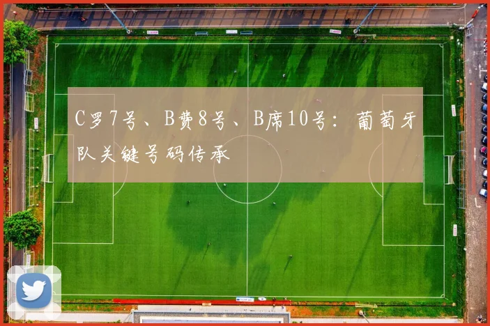 C罗7号、B费8号、B席10号：葡萄牙队关键号码传承