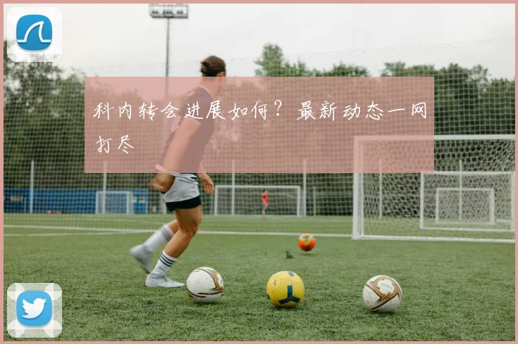 科内转会进展如何？最新动态一网打尽
